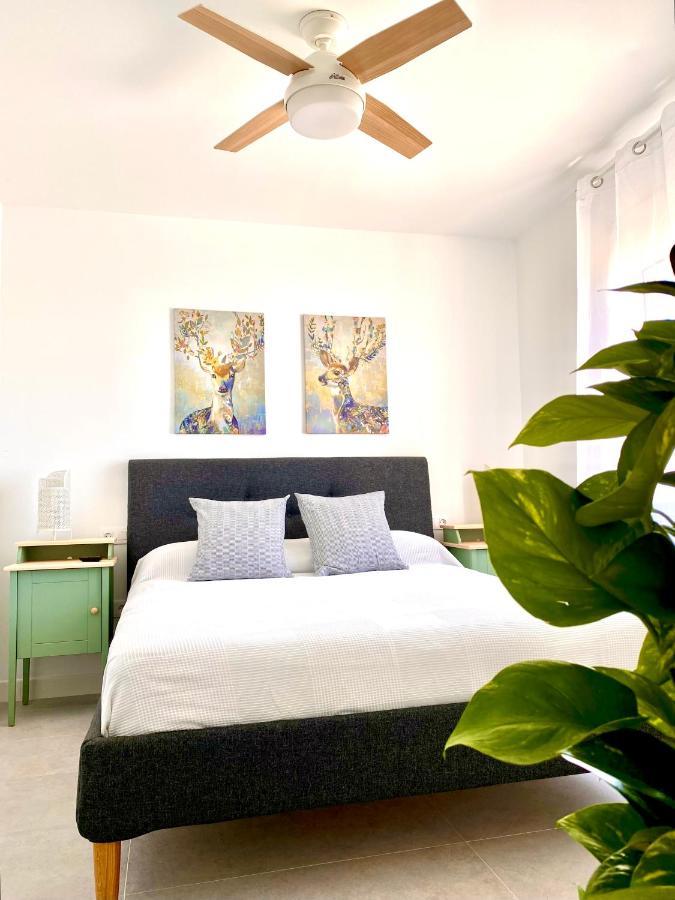 Appartement Luz De Conil Aire Acondicionado Y Wifi -solo Familias Y Parejas- *